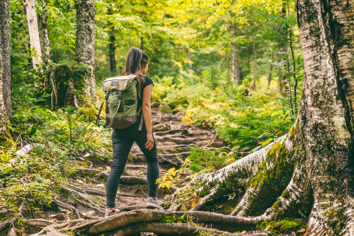 14 must-try hiking trails in Ontario for an unforgettable spring adventure  - Orillia News