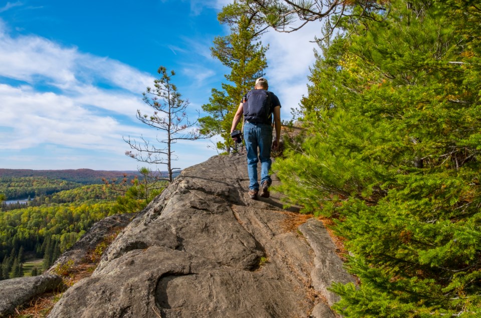 14 must-try hiking trails in Ontario for an unforgettable spring adventure  - Orillia News