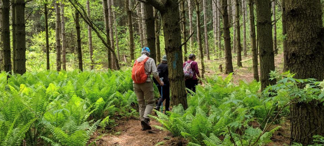 ganaraska-hiking-trails-association-1