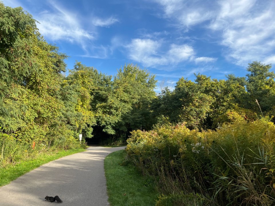 Lynde Shores Conservation Area