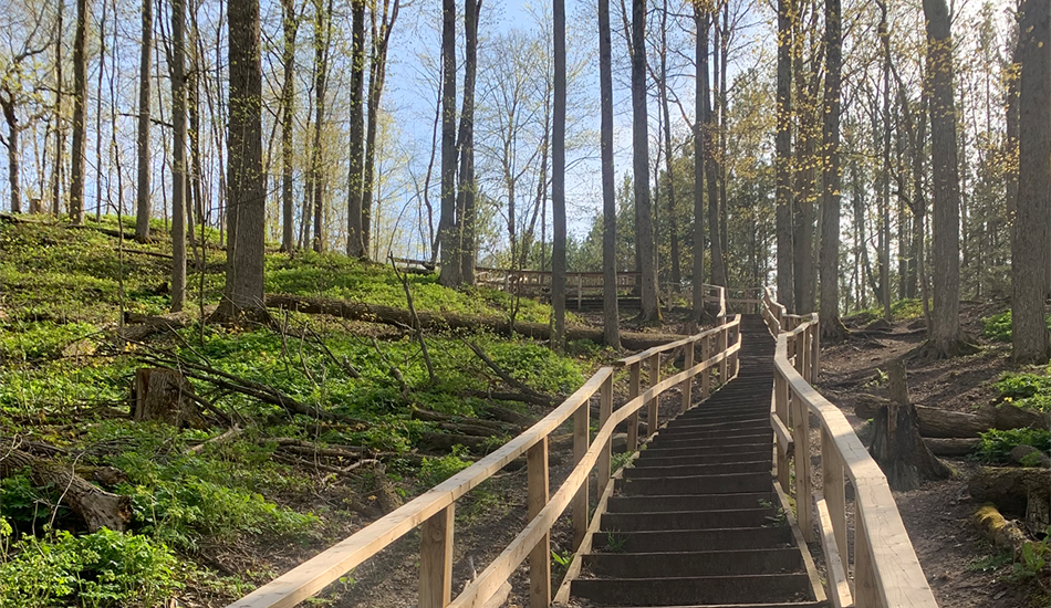 thorton-bales-stairs-web