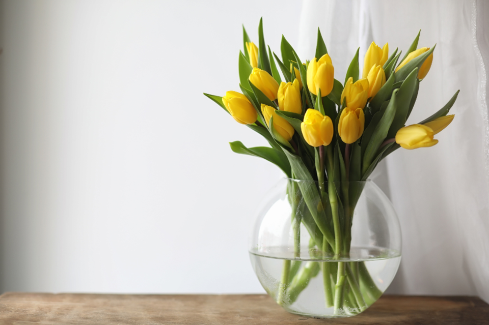 tulips