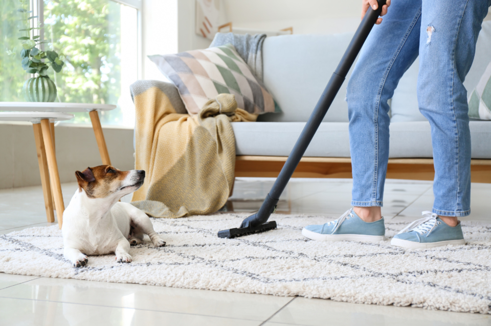 cleaning