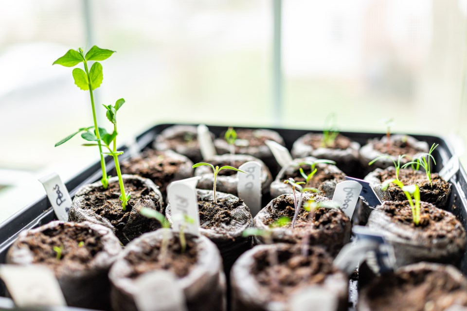 adobestock_362274320