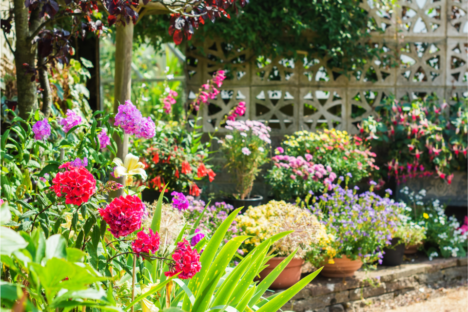 backyard-garden