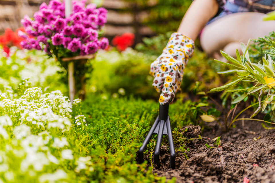 spring-gardening