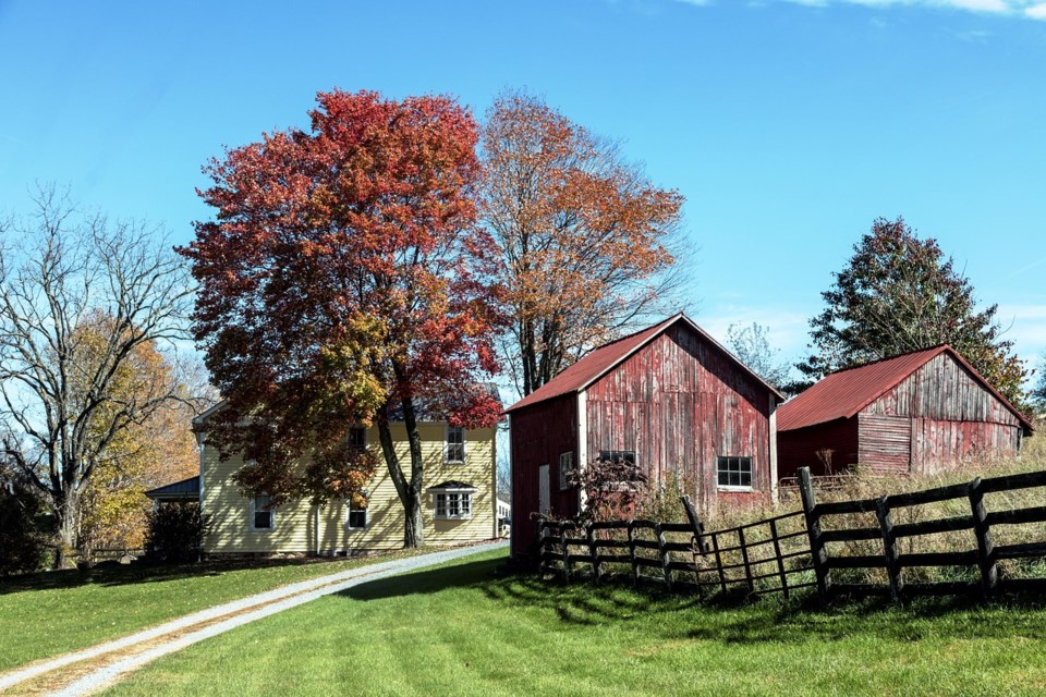farm-yard-1656820_1280