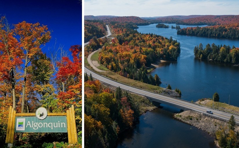 algonquin-fall-colours-825x510