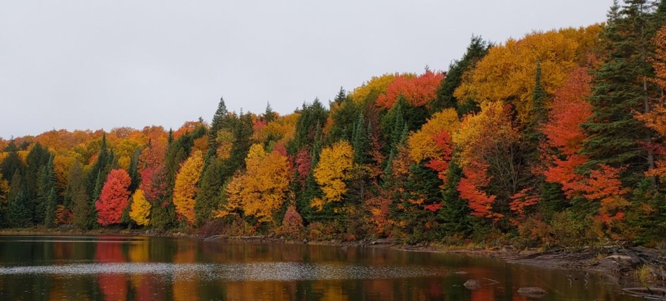 Best hikes algonquin park hot sale