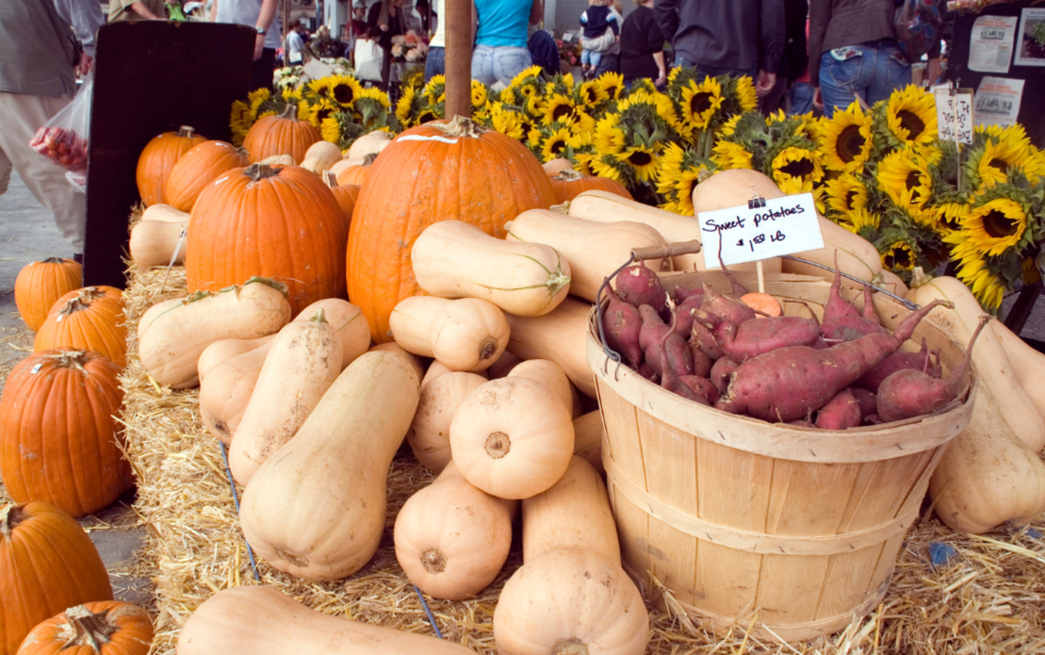 pumpkins