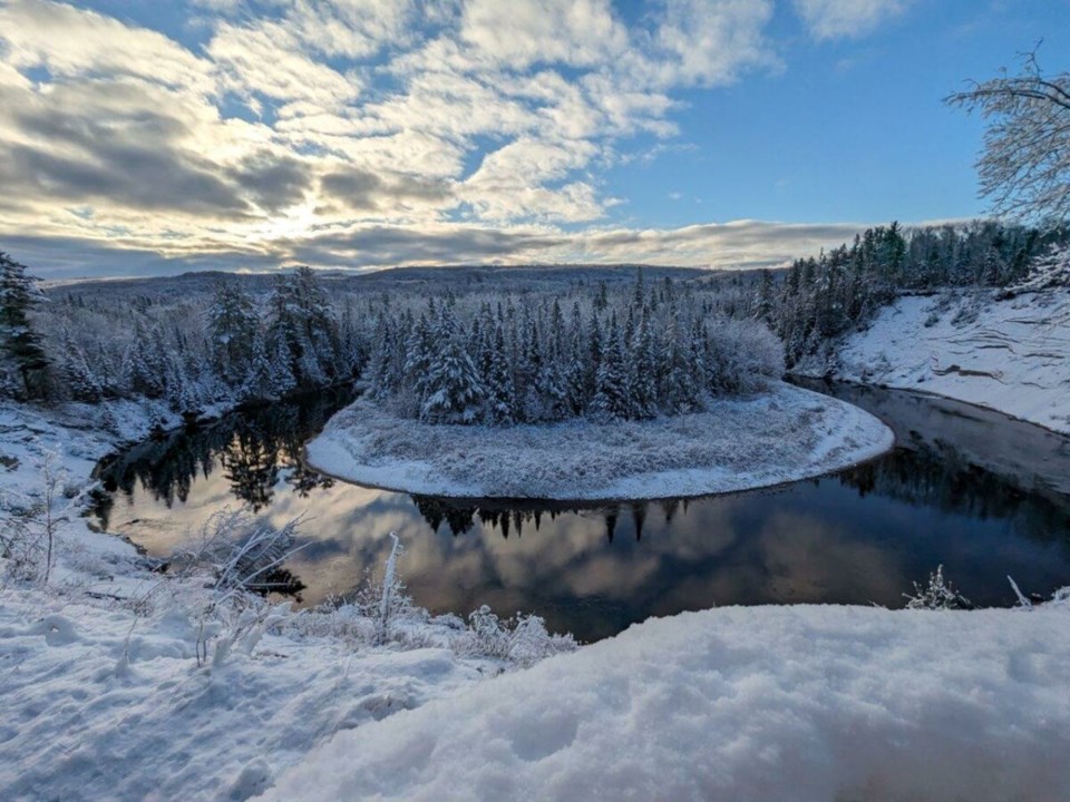 winter-arrowhead