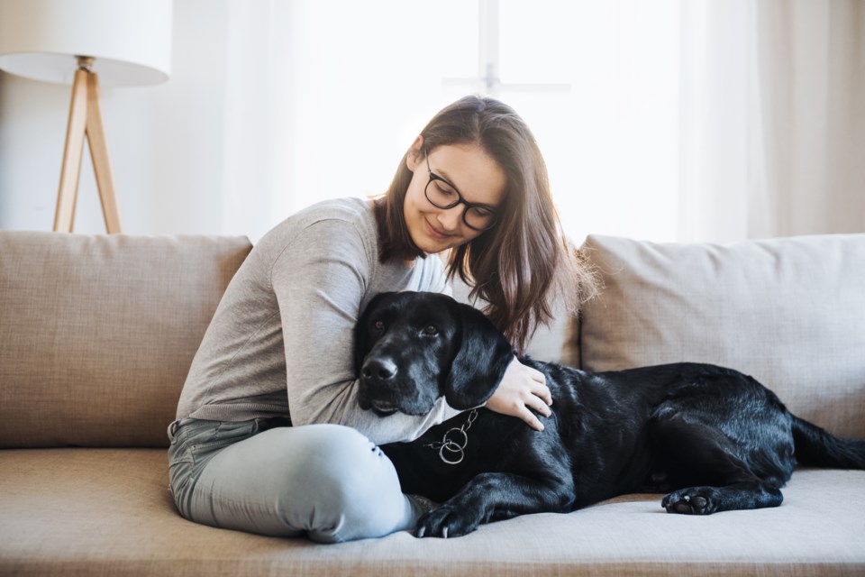 owner-and-dog