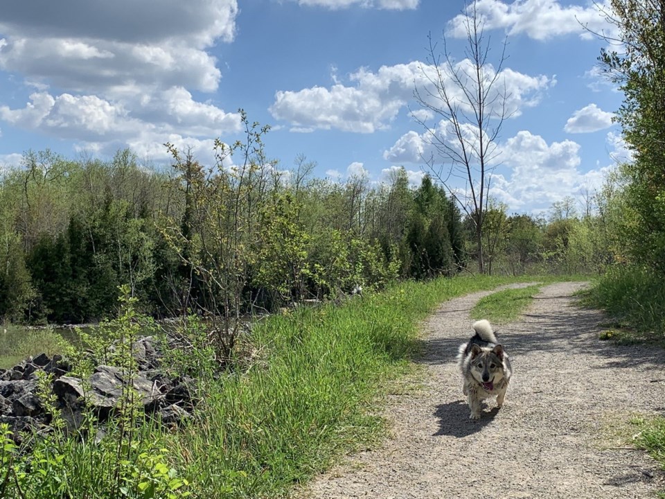 fletchers-creek-ecological-preserve-loop