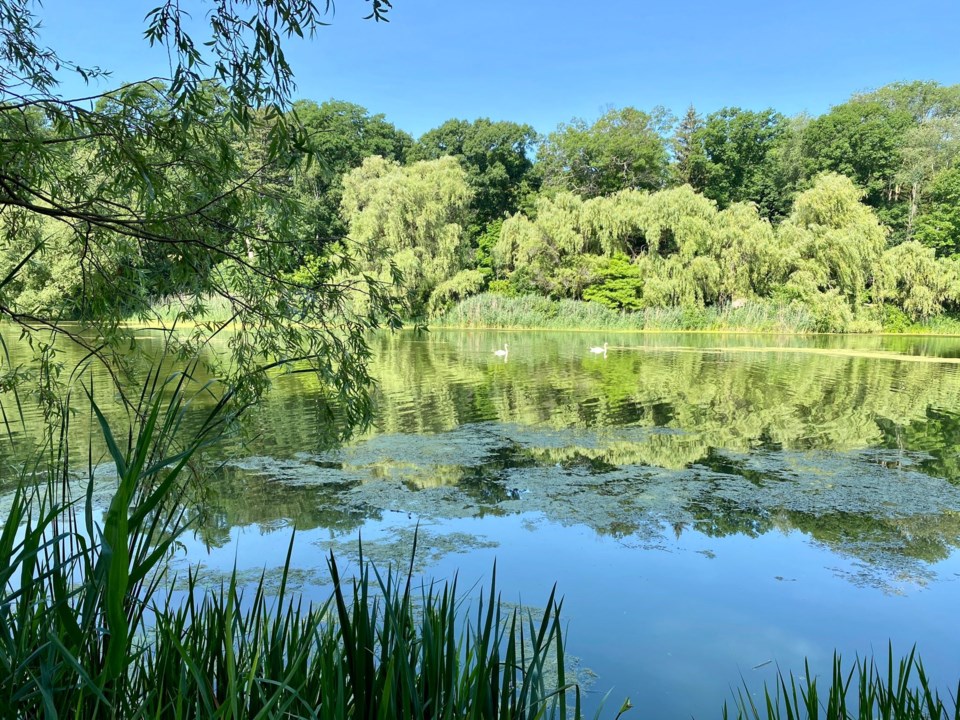 high-park-area-trails