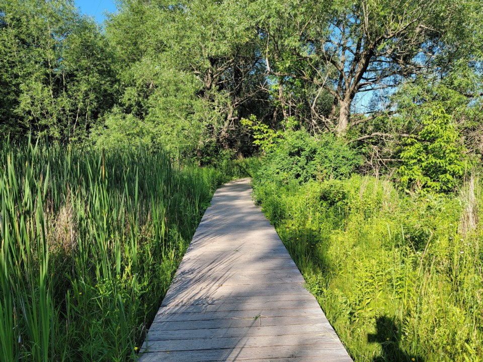 orchard-trail