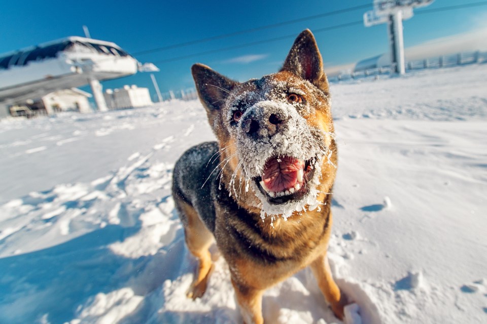 adobestock_131814671