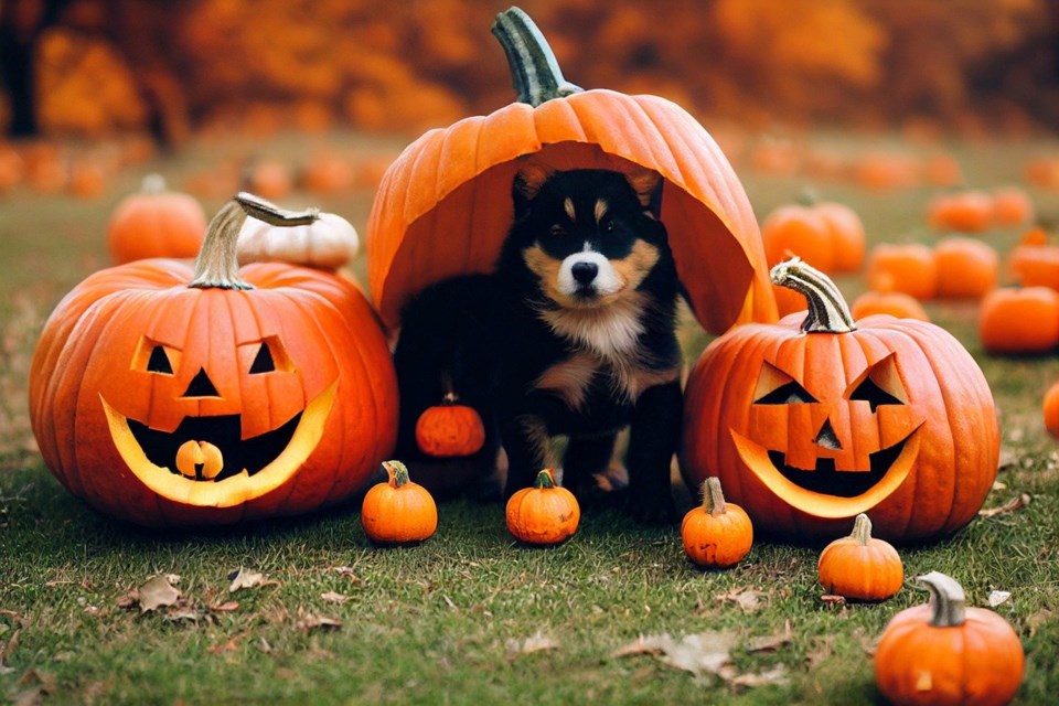 halloween-7522145_1280