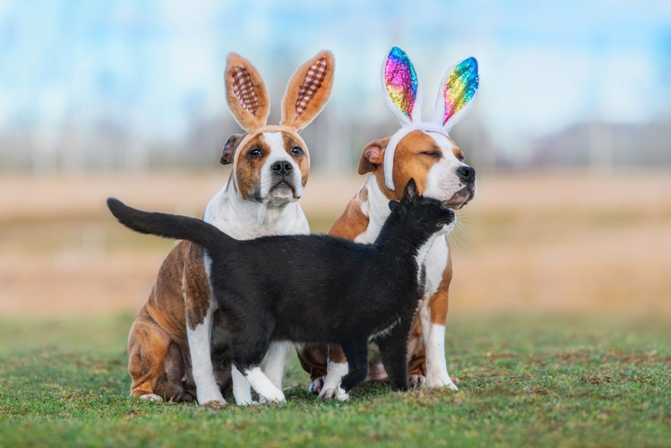 adobestock_580532667