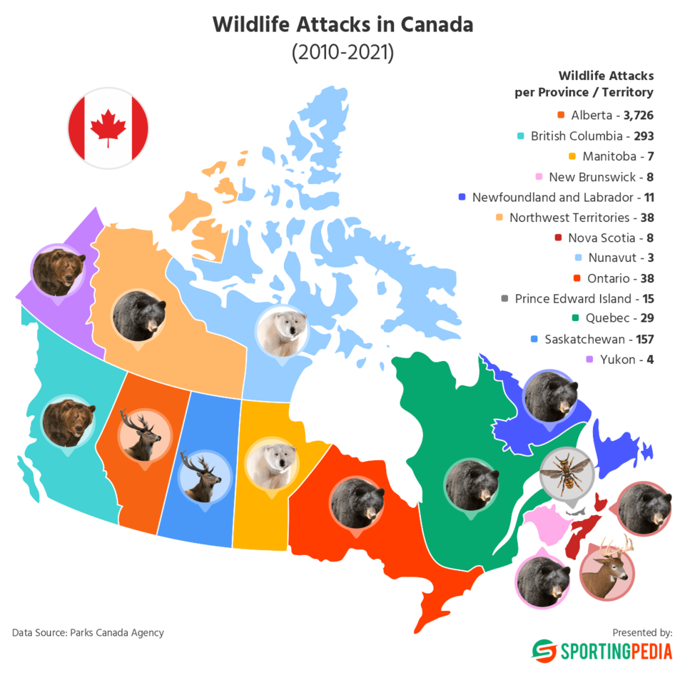 wildlife-attacks-in-canada