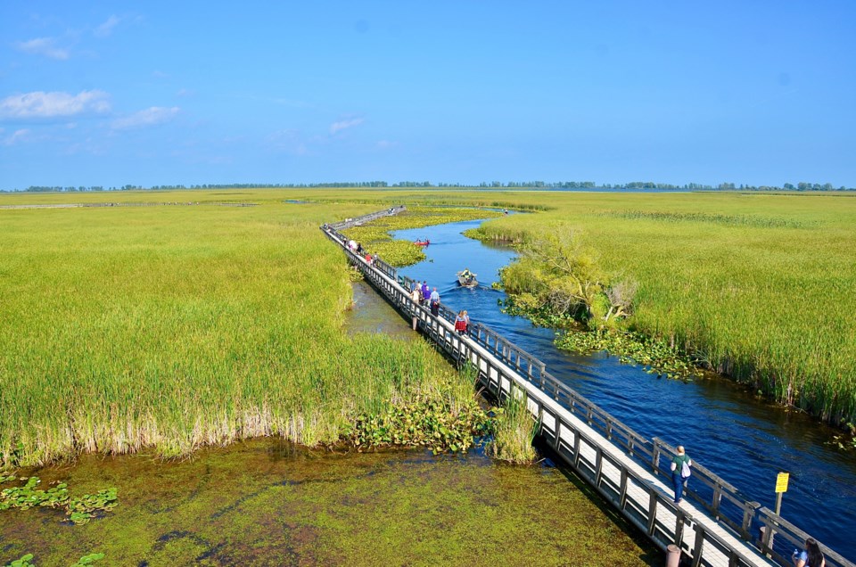 point-pelee-national-park