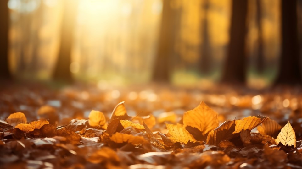 adobestock_658848196