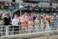 Woodbine Racetrack’s summer schedule is full of spectacle and glamour