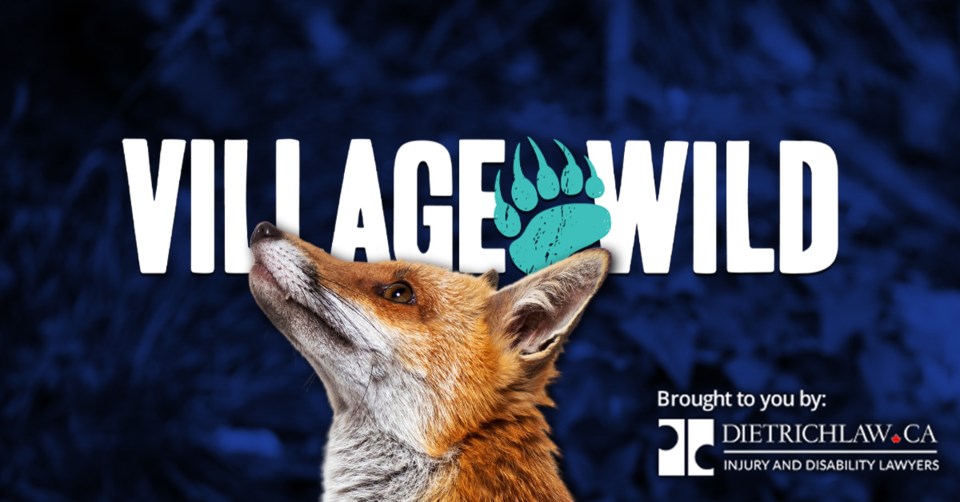 updated-logo_share_image_village_wild_1200x628_dietrich