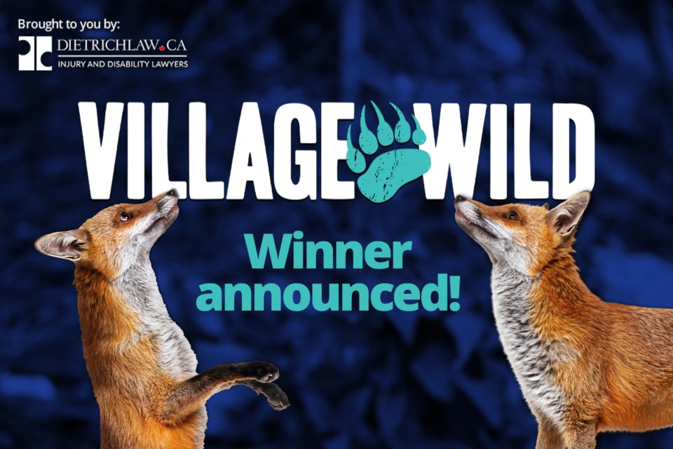 updated-logo_story_image_village_wild_winner_2000x1333_dietrich