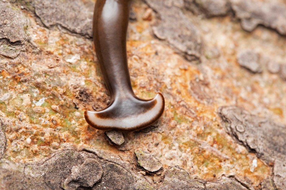 adobestock_330101119