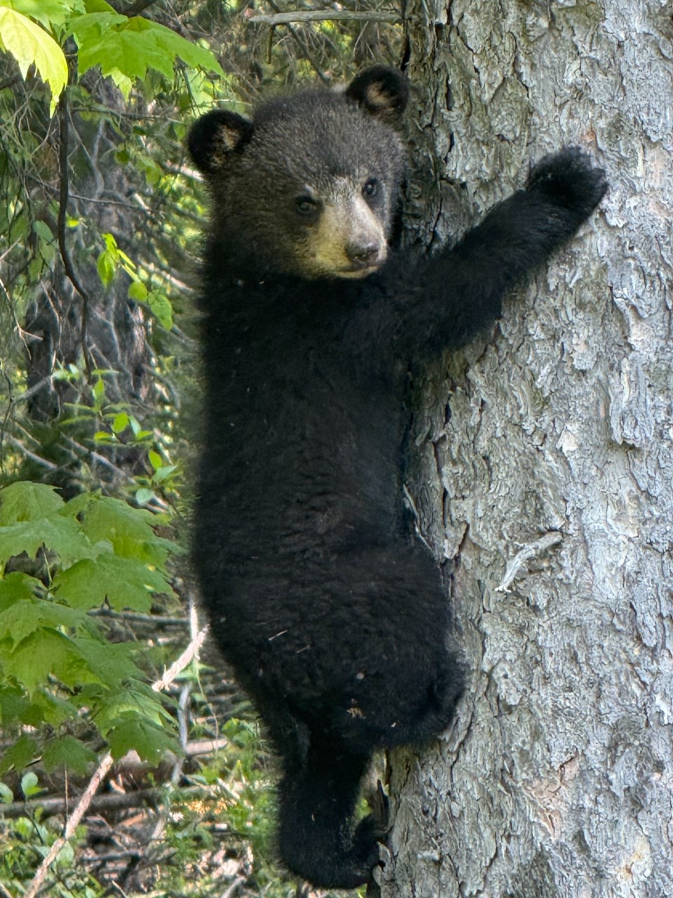 image_20250602_105952_263