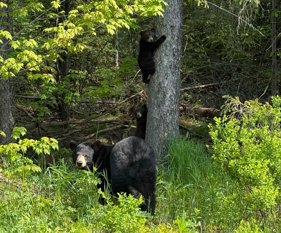 image_20250602_105952_375