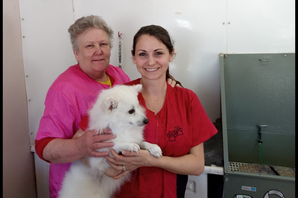 Missed-A-Bit's new owner, Callaghan Glass with her dog Phelan and former owner Lorraine Reese (l) who has retired from the dog grooming & kennels business. The business is now operating as Cally's Clippers.