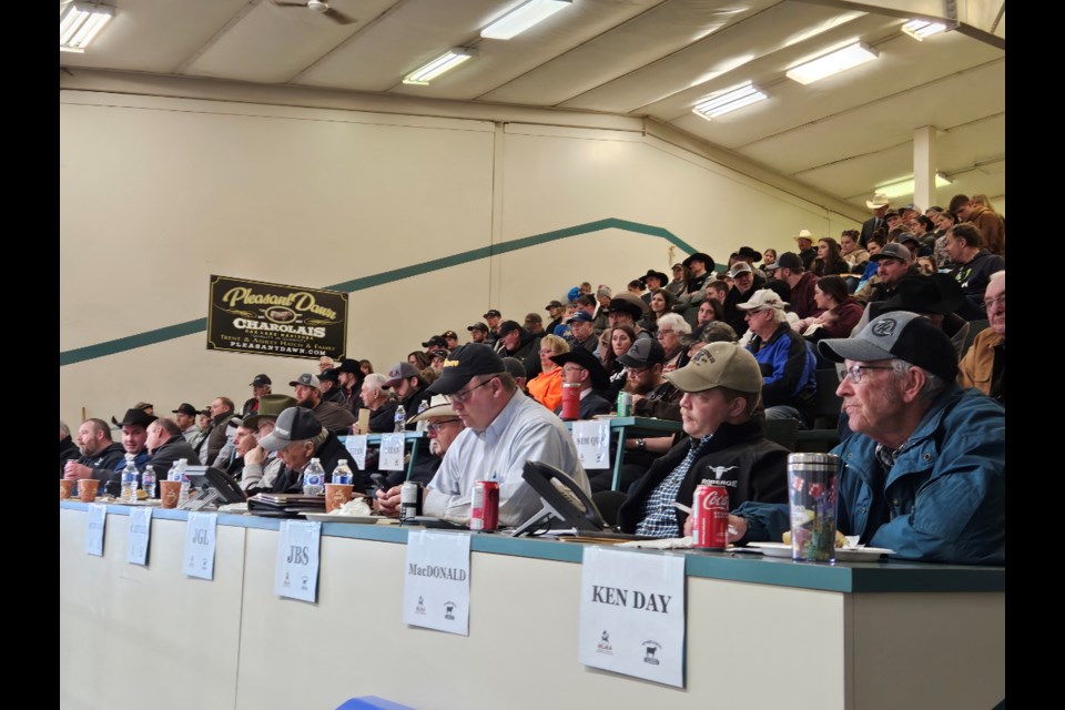 The buyers seats are full, the stands are full at Virden's Heartland Auction Service on March 23.