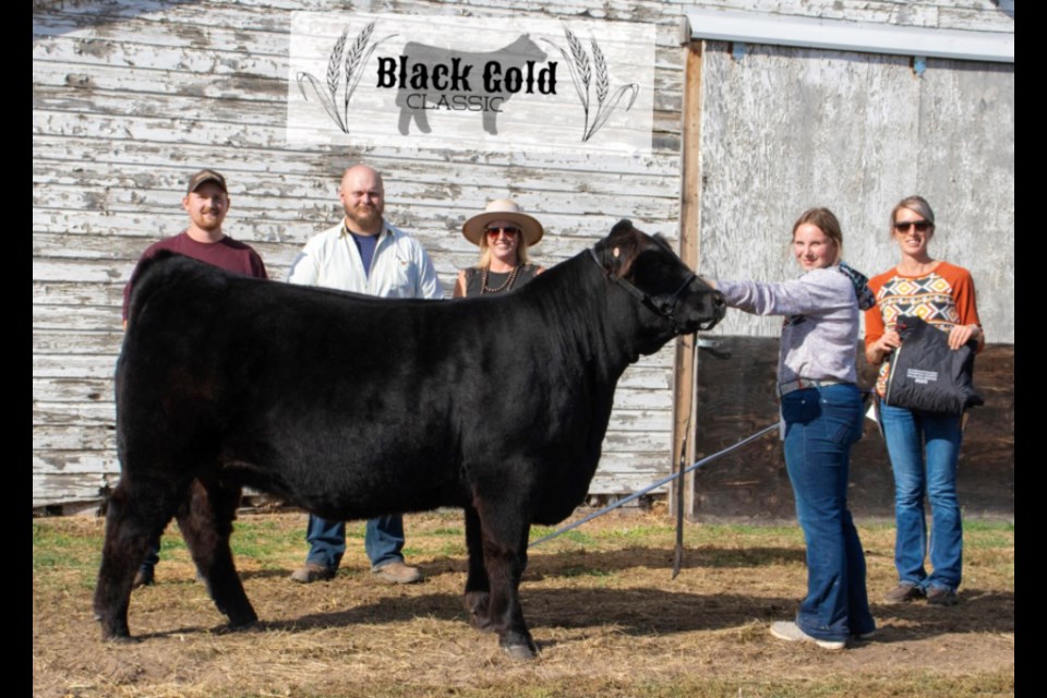Champion Bred Heifer - RPY Kassidy 144K ET exhibited by Madisyn Robertson & Eden Meadows Farm. Judges for the Black Gold Classic show pictured in the presentations are: (l-r) Brodie Hunter of Kenton, in the white shirt Russell Thompson of Hamiota, and in a broad-brimmed hat, Melissa McRae of Brandon.