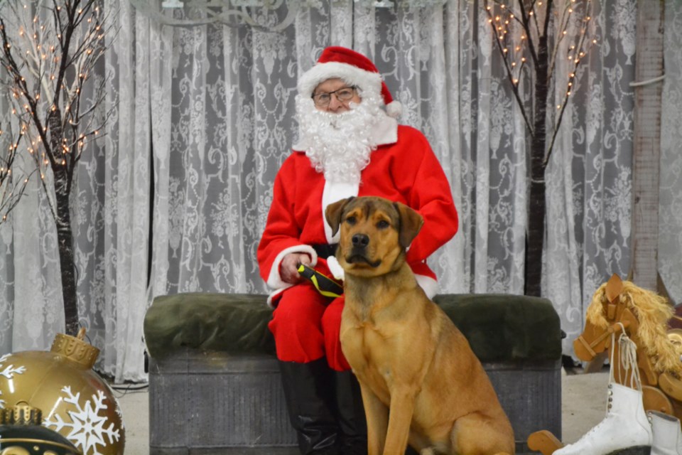 A dog poses for a photo with Santa Claus during the annual "Pet Pictures With Santa" session at the Virden Animal Hospital on Nov. 4.