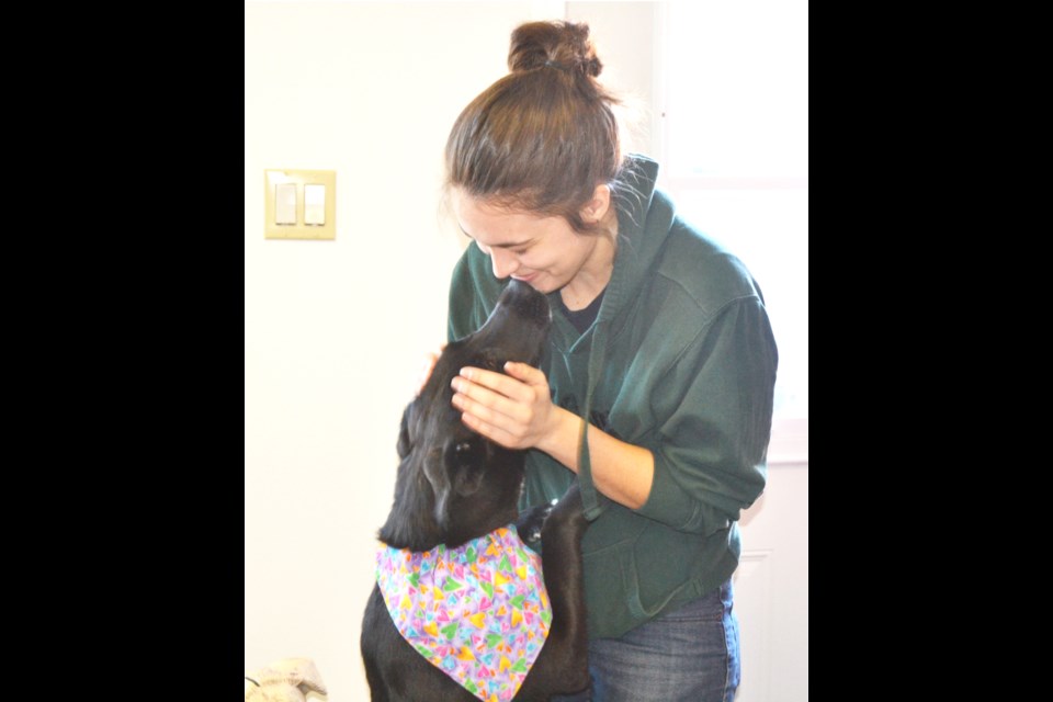 Sonya Vale, a newcomer to Virden, greets Enzo, an adoptable black lab/retriever mix, at the door of the Virden Sutton-Harrison Realty office. 