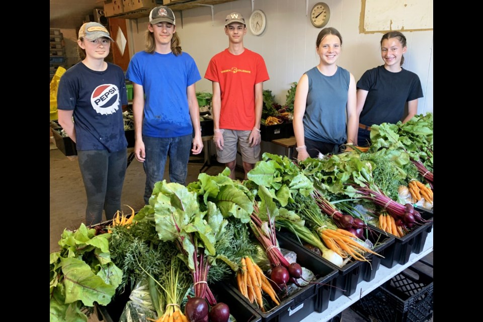 L –R: Abigail Archambault, Nathan Archambault, Ethan Gertz, Jillian Hamm, Keira Peters plant, pick and sort veggies.