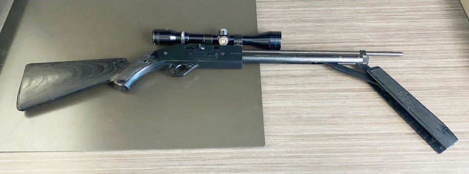 selkirk-firearm