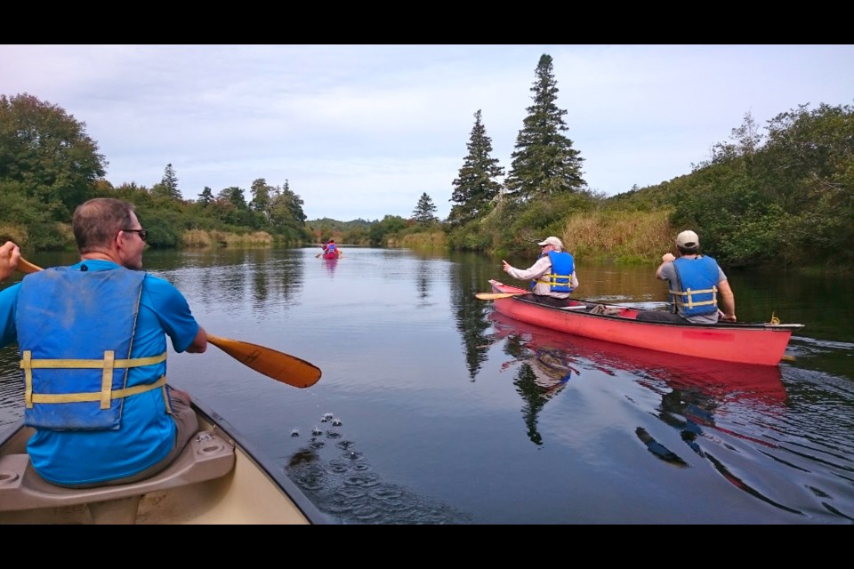 Wild beauty on this canoe trip.