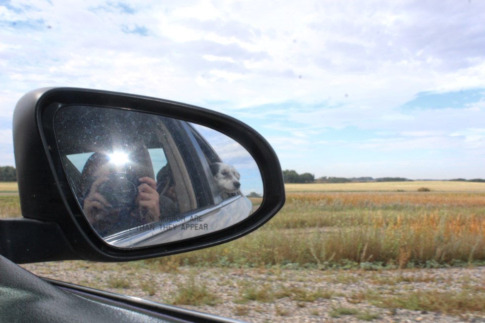 The photographer experiments to capture a rearview image on the drive to Rivers Dam, on Sept. 4.