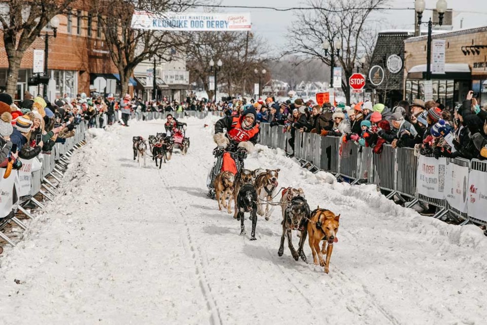 Carl Knudsen, wearing #15, races his sled dogs to the finish line. The dog team (front to back in pairs, l-r) Costco and Four, Dr Dre and Third, King and Magnet, Five and Eminem,  earn second place in the 38-mile Klondike Dog Derby in Minnesota on February 4.