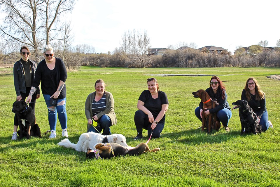 Dogs and their owners at the site where a fenced dog park will provide hours of dog freedom: (l-r) Jessie, Lora with dog Jack (black), Aly with dog Jester (white), Larissa with dog Milly (tri-coloured), Nicole with dog Beau (brown), Breanna with dog Lilly (black).