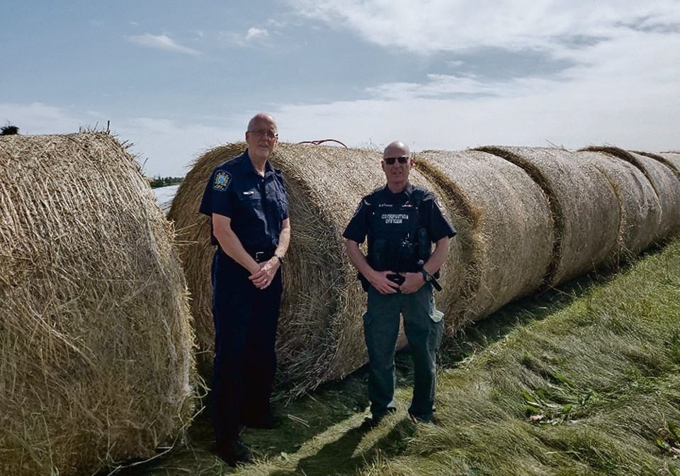 04-4-col-stolen-bales