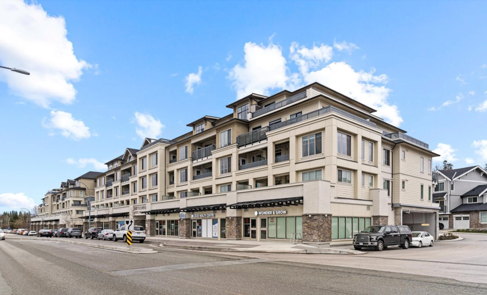 20487-65-ave-langley-jpg