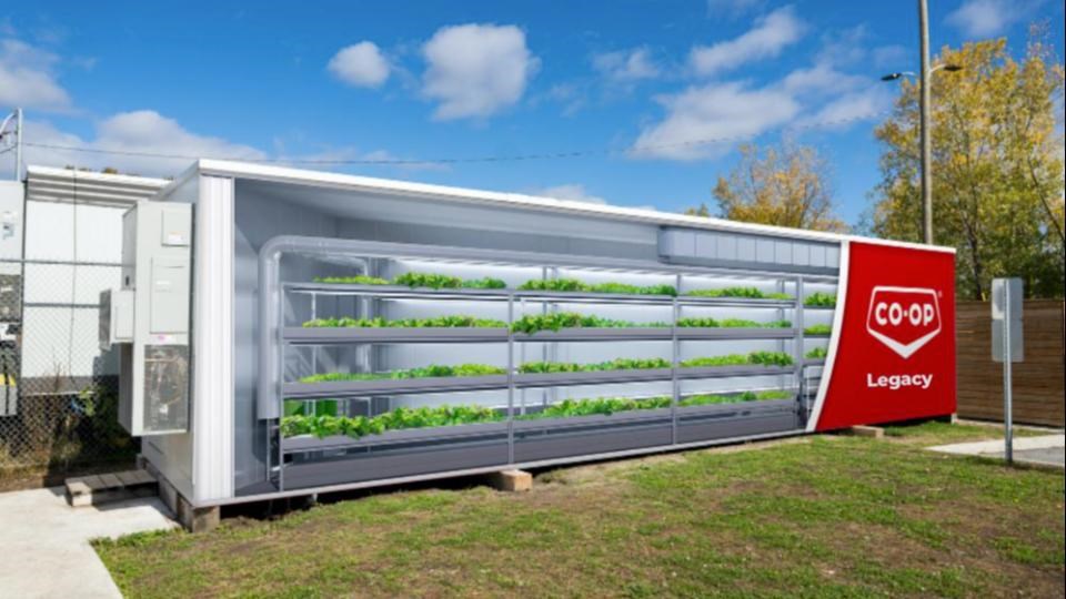 Mock-up of exterior of modular farm, being built to supply the grocery store attached to it. | Legacy Co-op