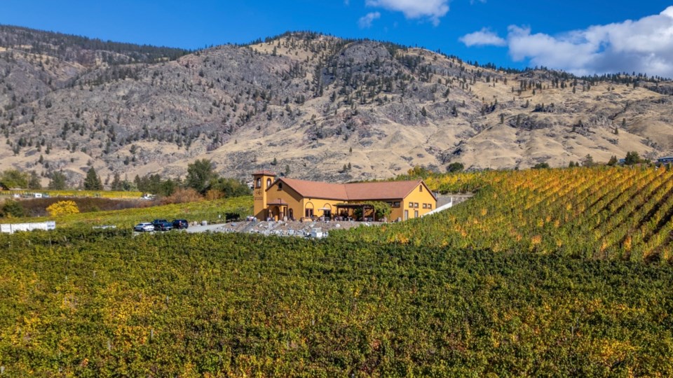 adega-on-45th-osoyoos