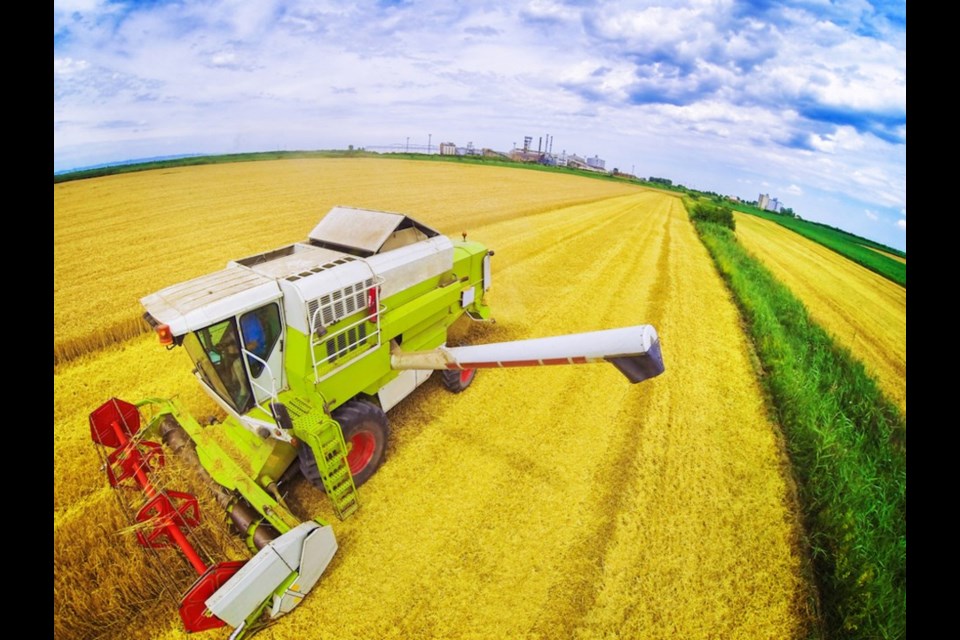 Agriculture expected to drive Saskatchewan to the highest economic growth among provinces this year. | Western Producer 