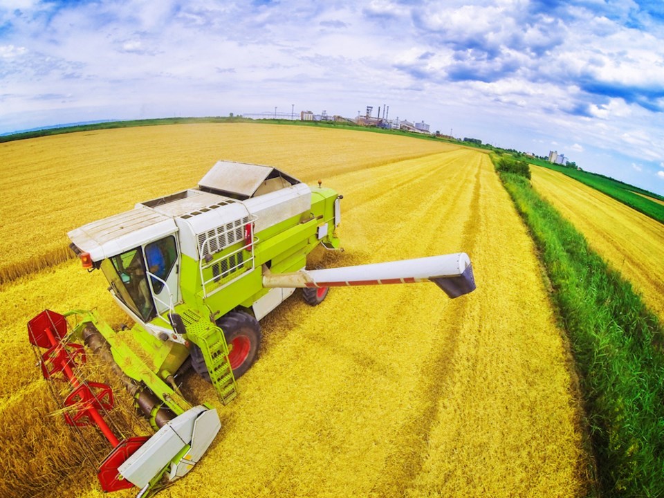 bb-sask-farmland