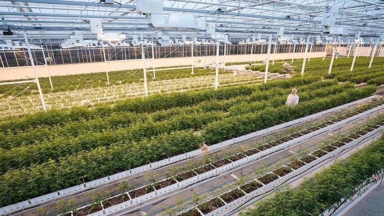 cda-business-5-things-20191103-1