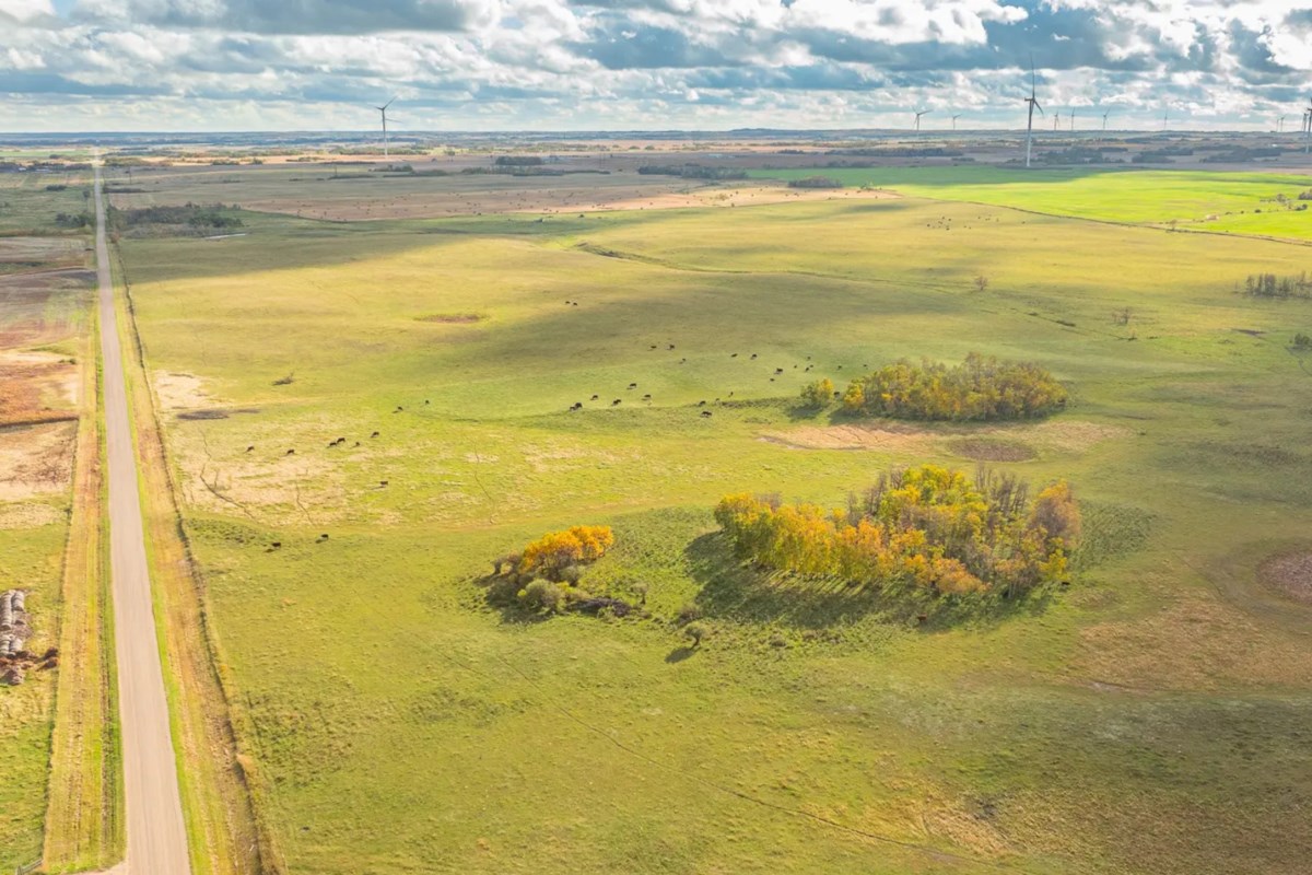Buyers seek value in farmland as uncertainties persist